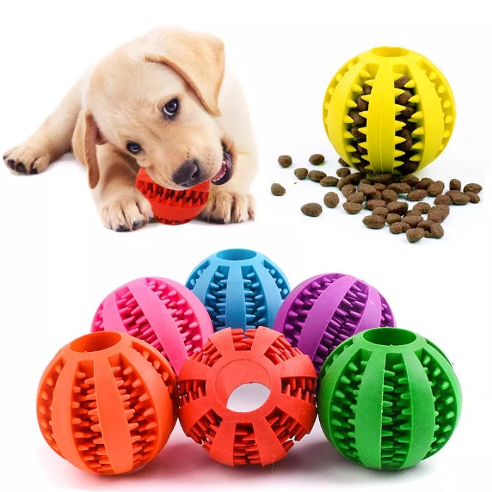 🥎🐶🐱 PELOTA DE GOMA INTERACTIVA PARA TUS MASCOTAS 🐶🐱🥎